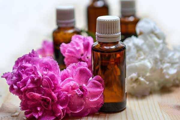 Essential Oils for Itching in German Shepherds