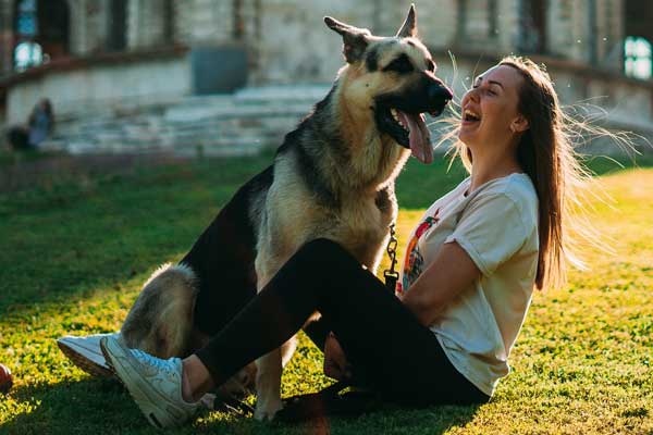 Are German Shepherds Good Family Dogs? – How To Find Out